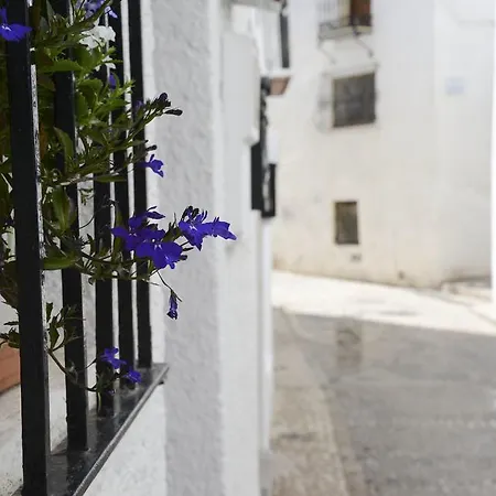 Samar Grupo Terra De Mar, Con Encanto * אלתיאה